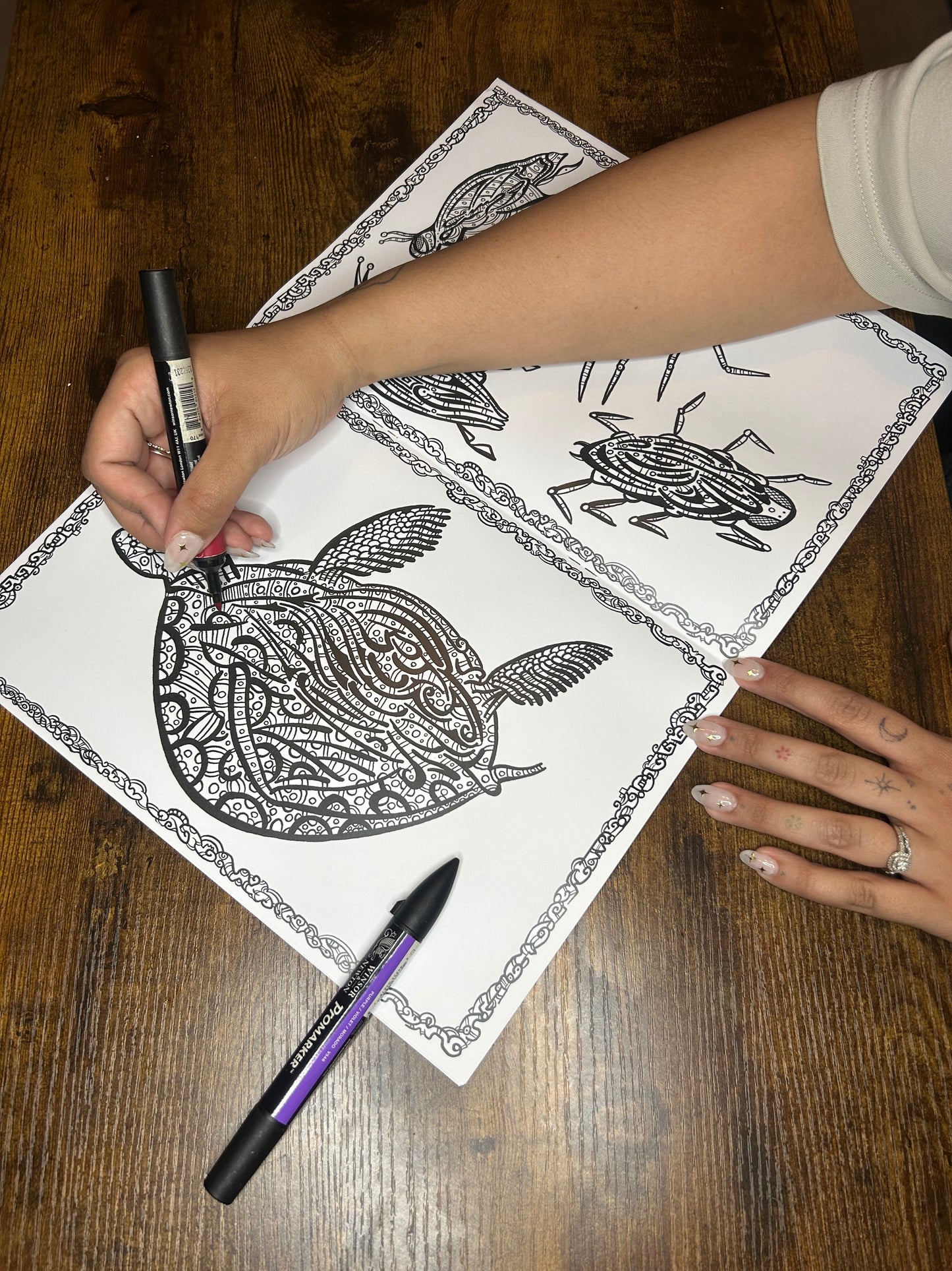 Aos Colouring Book Doodles Edition 1
