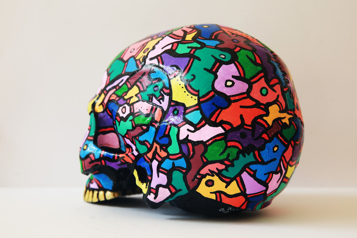 Sebastians skull