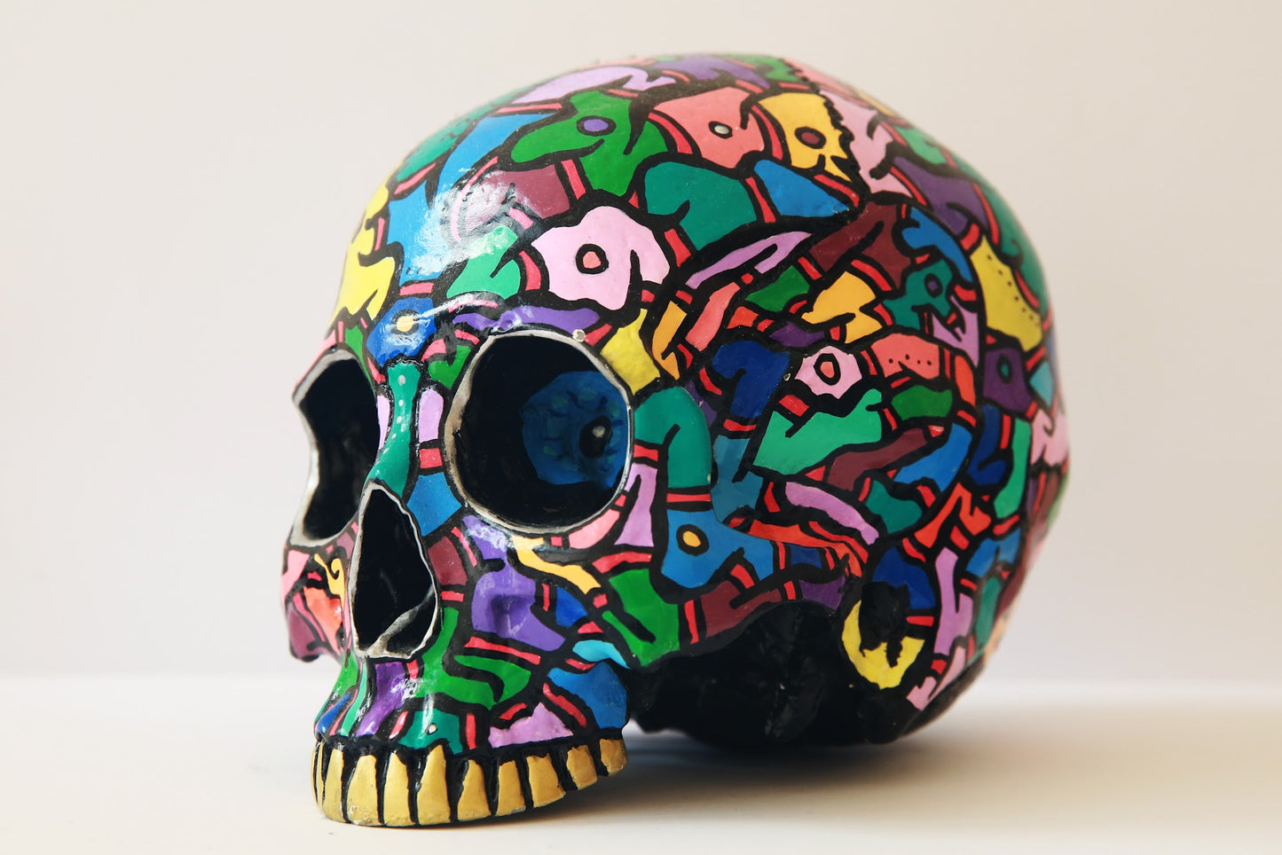 Sebastians skull