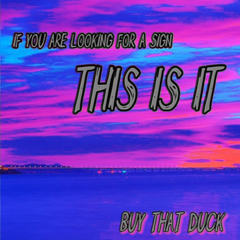 Don’t Give A Duck (16 x 20 inch)